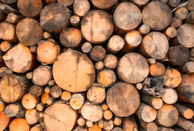 Log trading | Tatran wood company