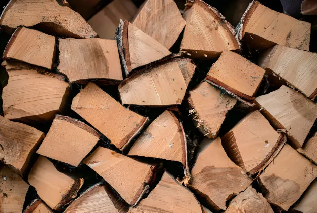 Firewood | Tatran wood company
