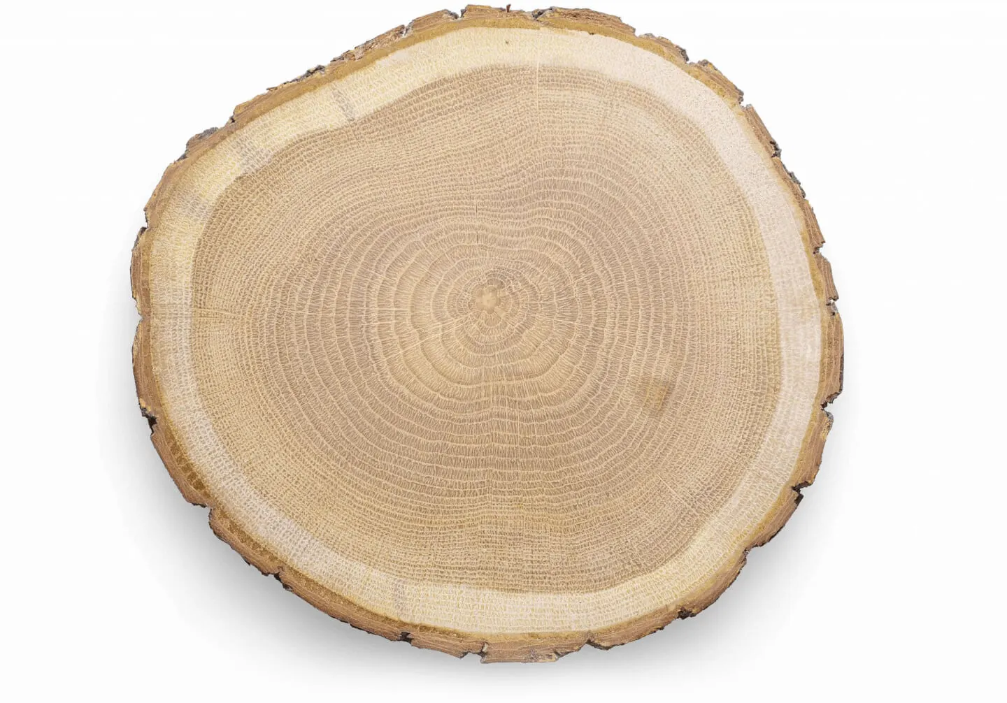 Ponúkame nábytkové hrany vyrobené s dôrazom na detaily, ktoré spĺňajú najvyššie normy kvality a estetiky v nábytkárskom priemysle. | Tatran wood company